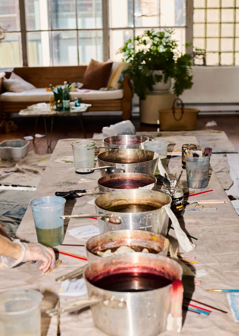 Natural Dye Workshop -1/13