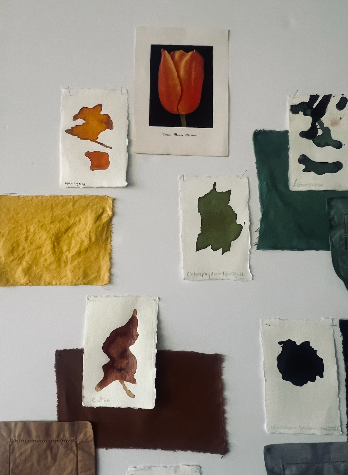 Overdye program – Gone