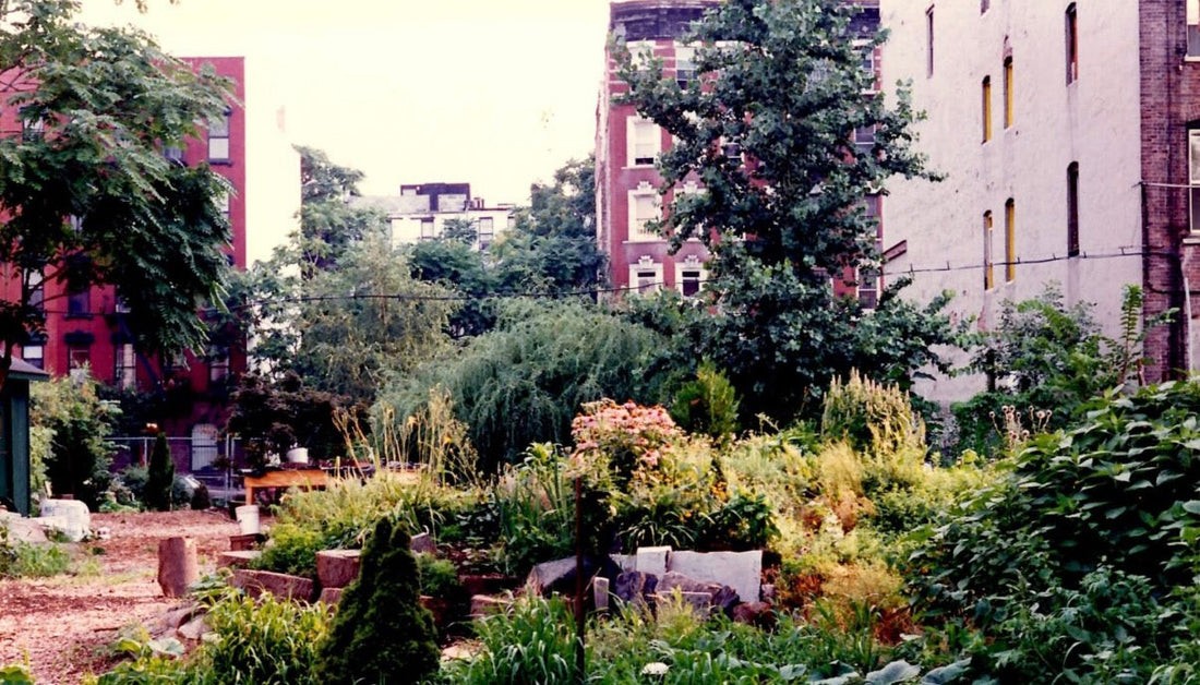 green between- a residency with les ecology + make meadows