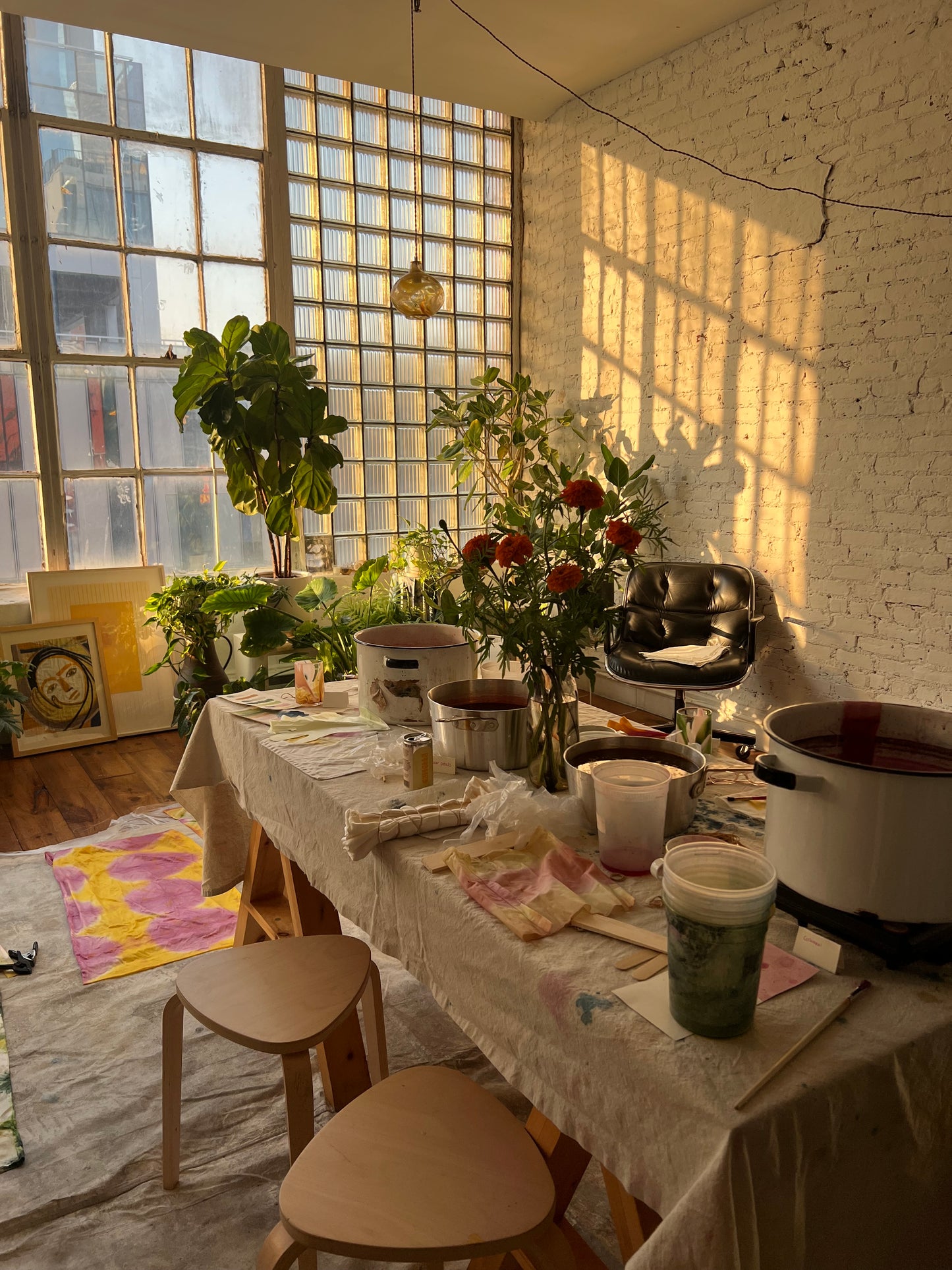 Natural Dye Workshop -1/13