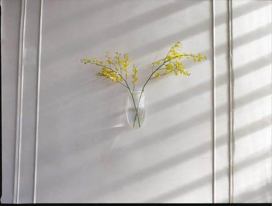 Droplet Wall Vase in Clear