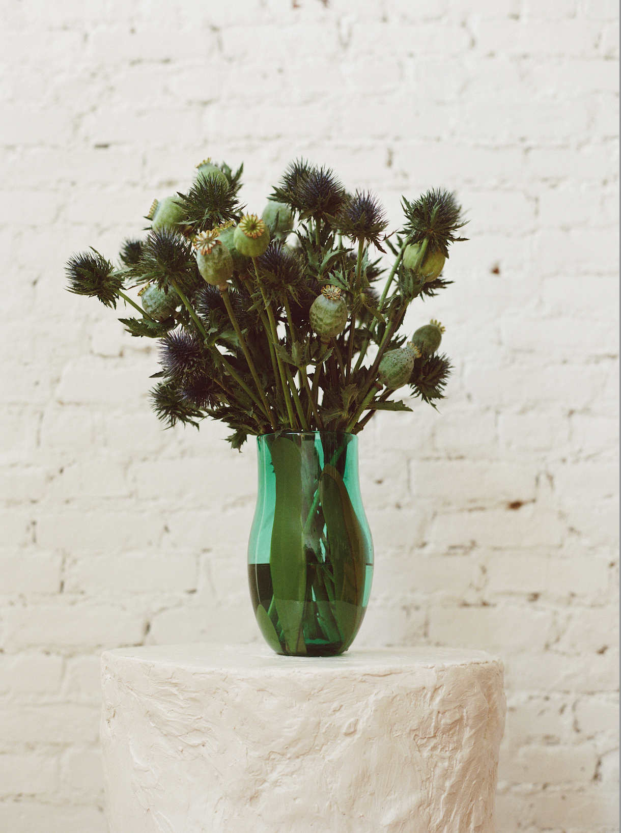 Green bean vase