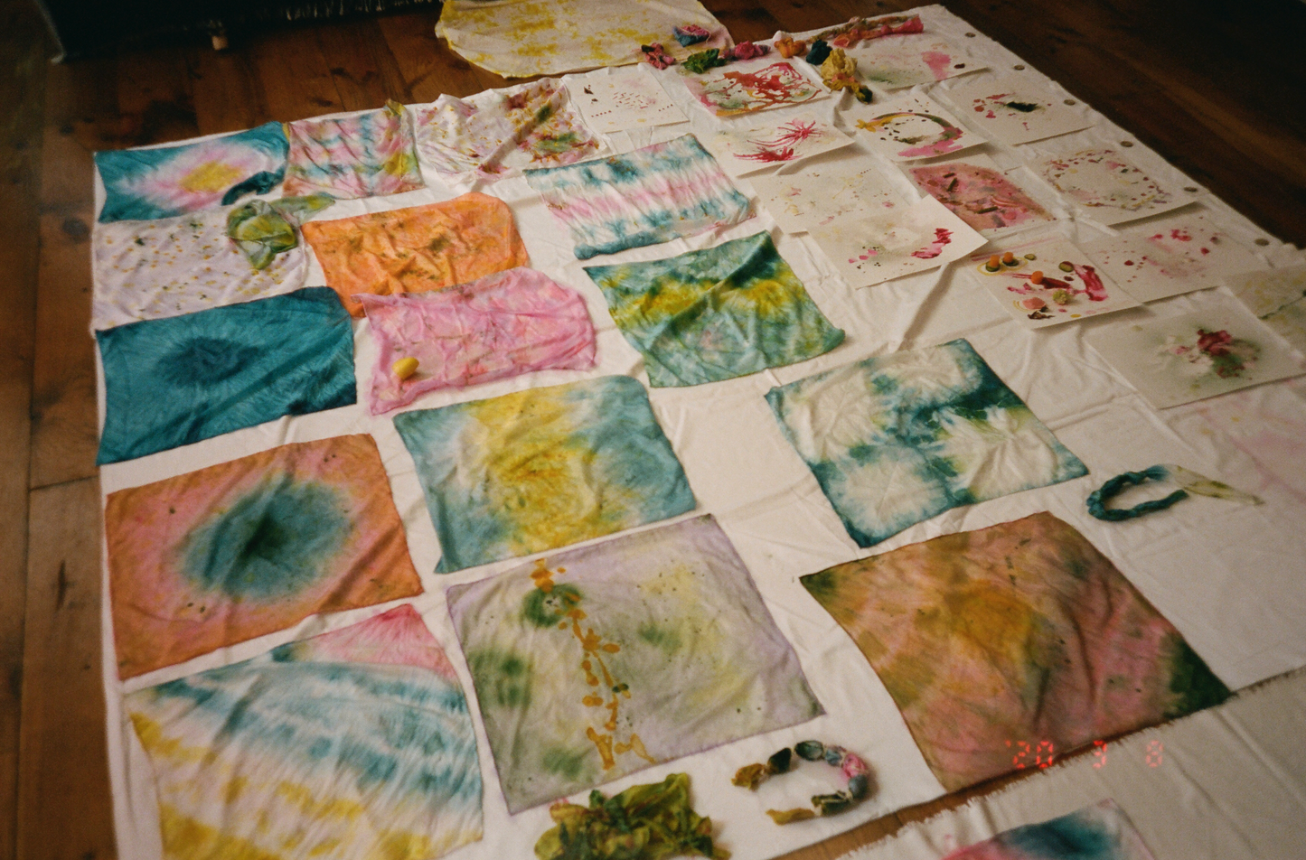Natural Dye Workshop -1/13