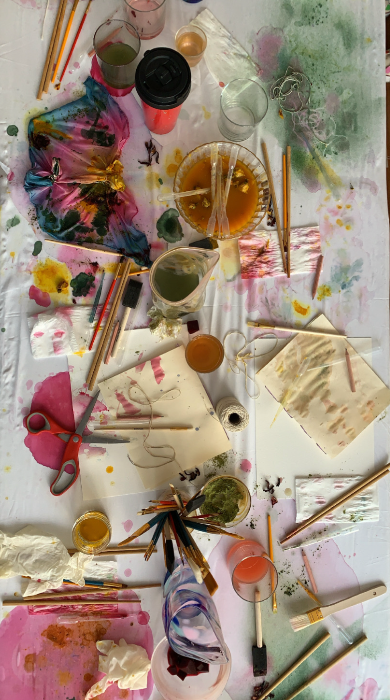 Natural Dye Workshop -1/13