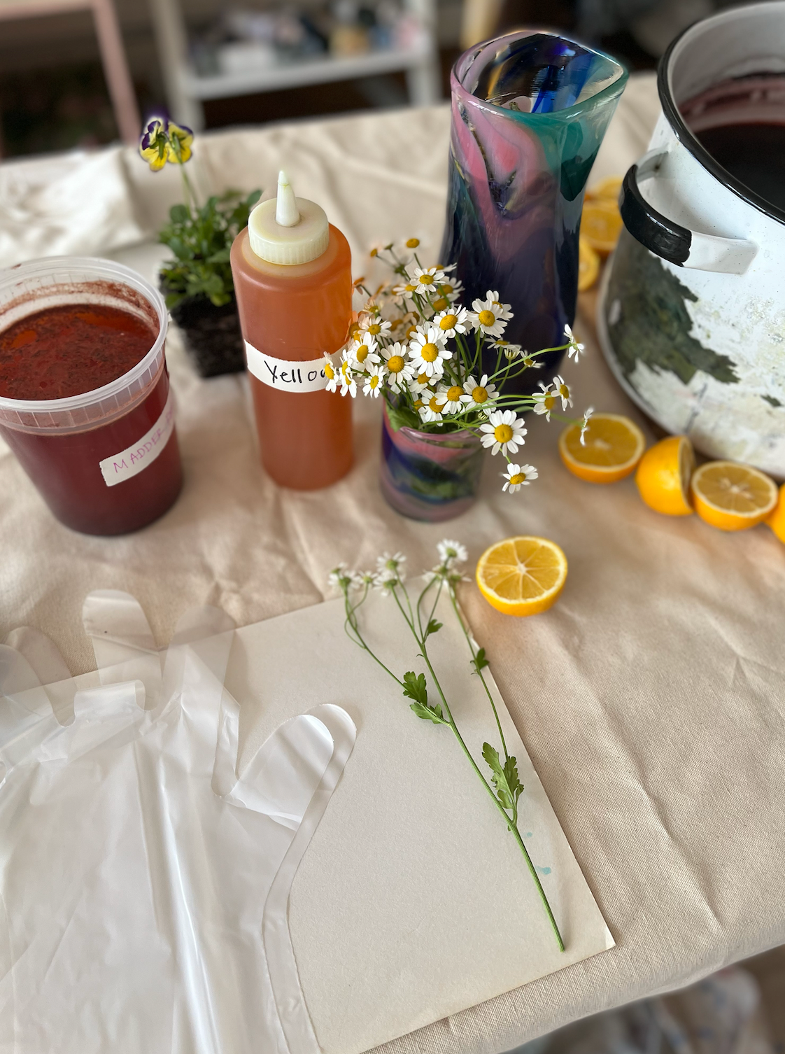 Natural Dye Workshop -1/13