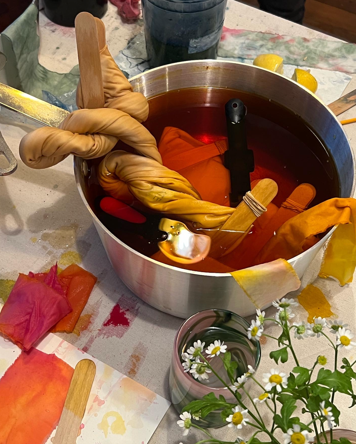 Natural Dye Workshop -1/13