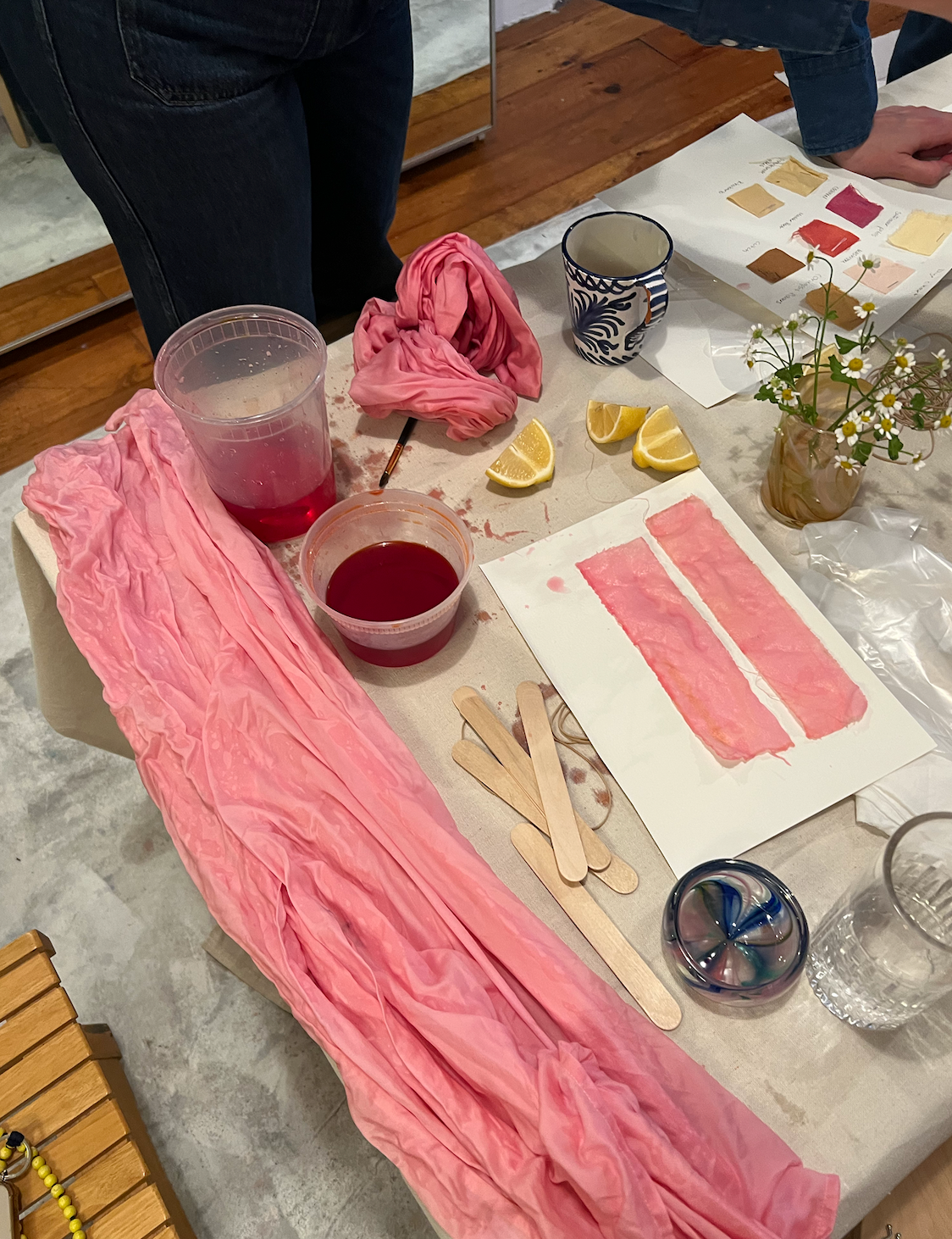 Natural Dye Workshop -1/13