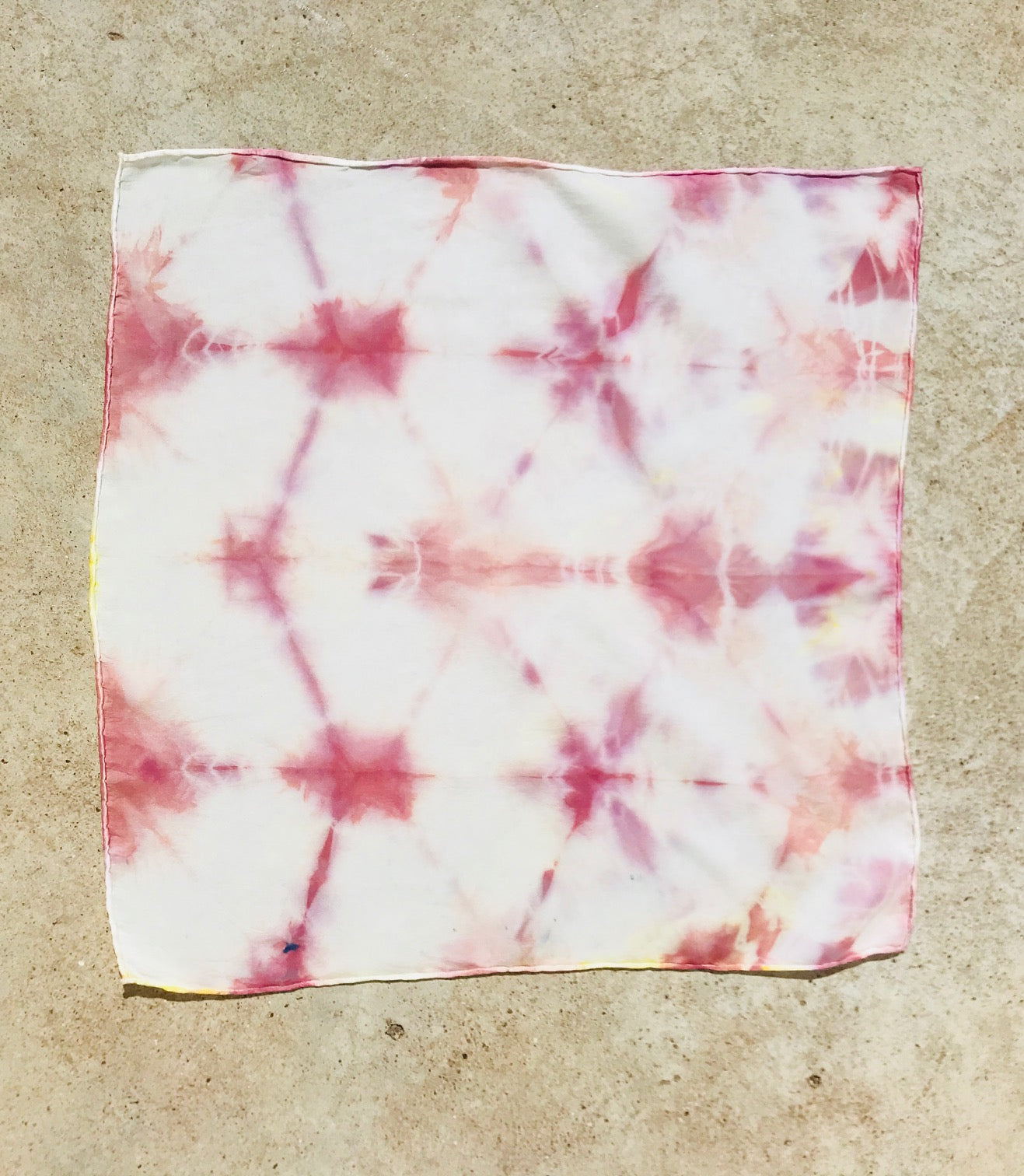 Sample Sale Plant Based Dye Kit in Rose
