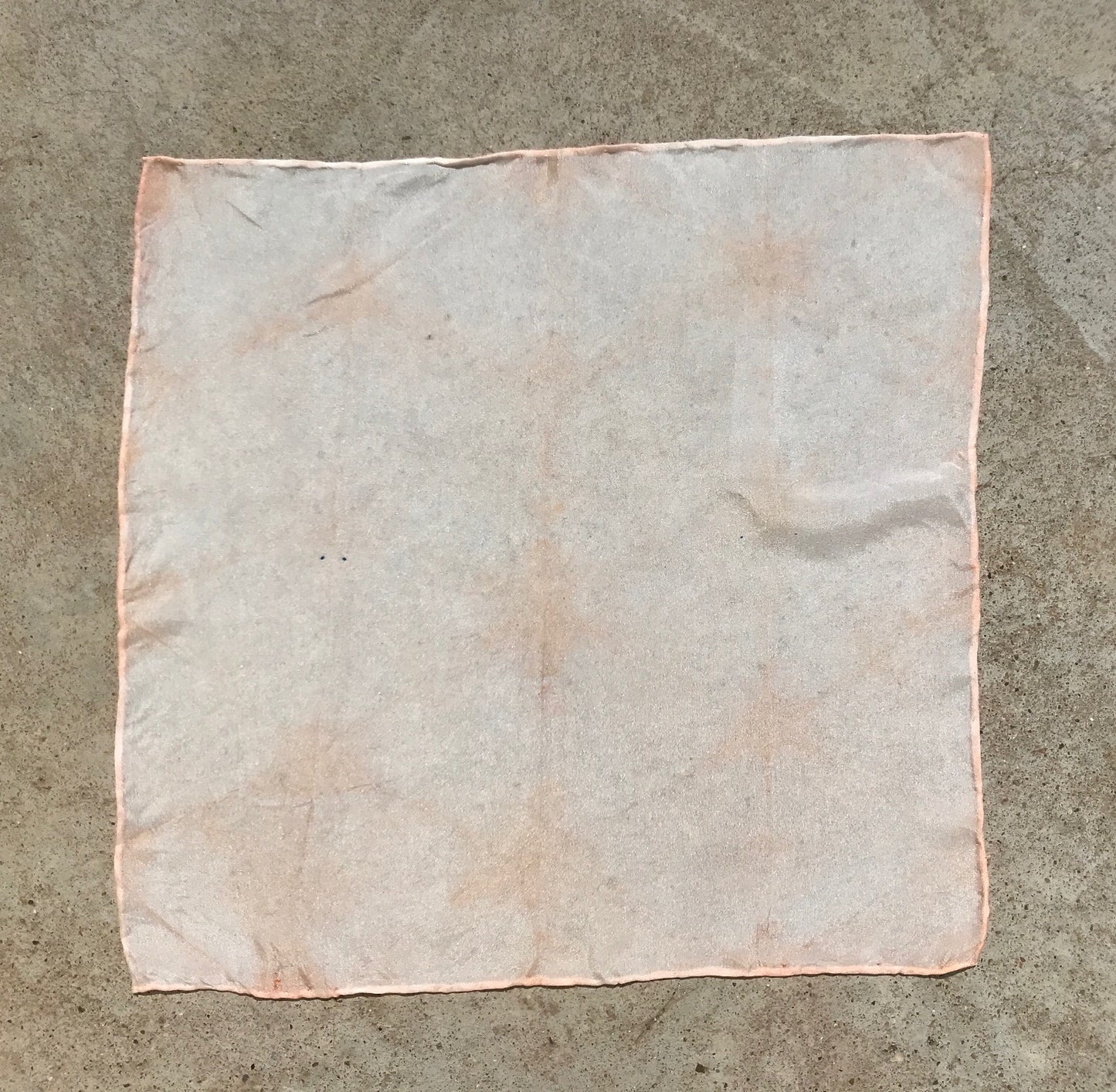 Sample Sale Plant Based Dye Kit in Rose